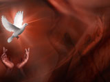 Peace PowerPoint Templates Peace PowerPoint Templates